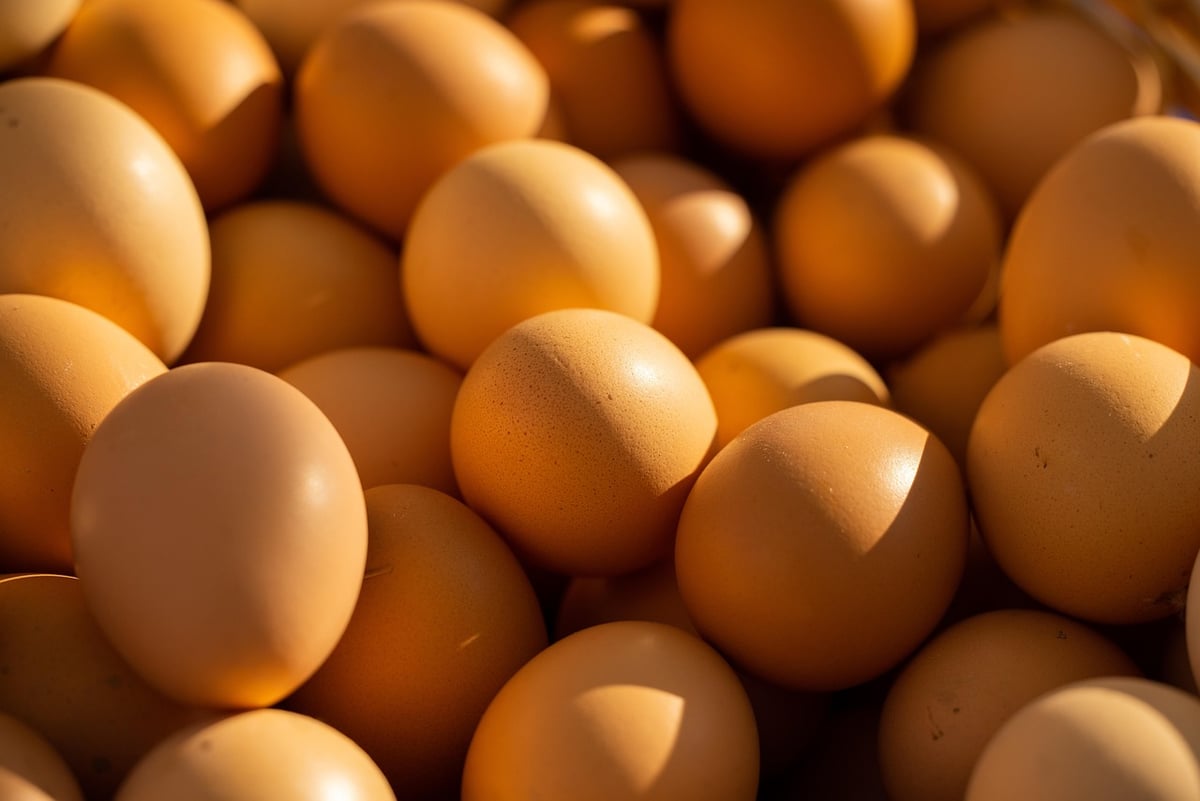 Wie beeinflusst Protein die Muskelregeneration nach dem Sport?