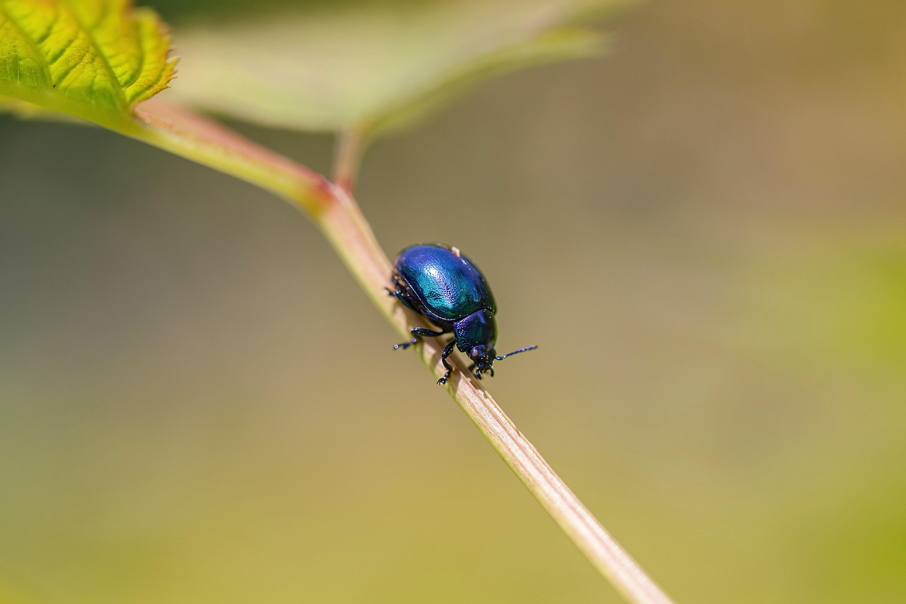 Wie werden exoskeletale Anzüge die Arbeitswelt revolutionieren?