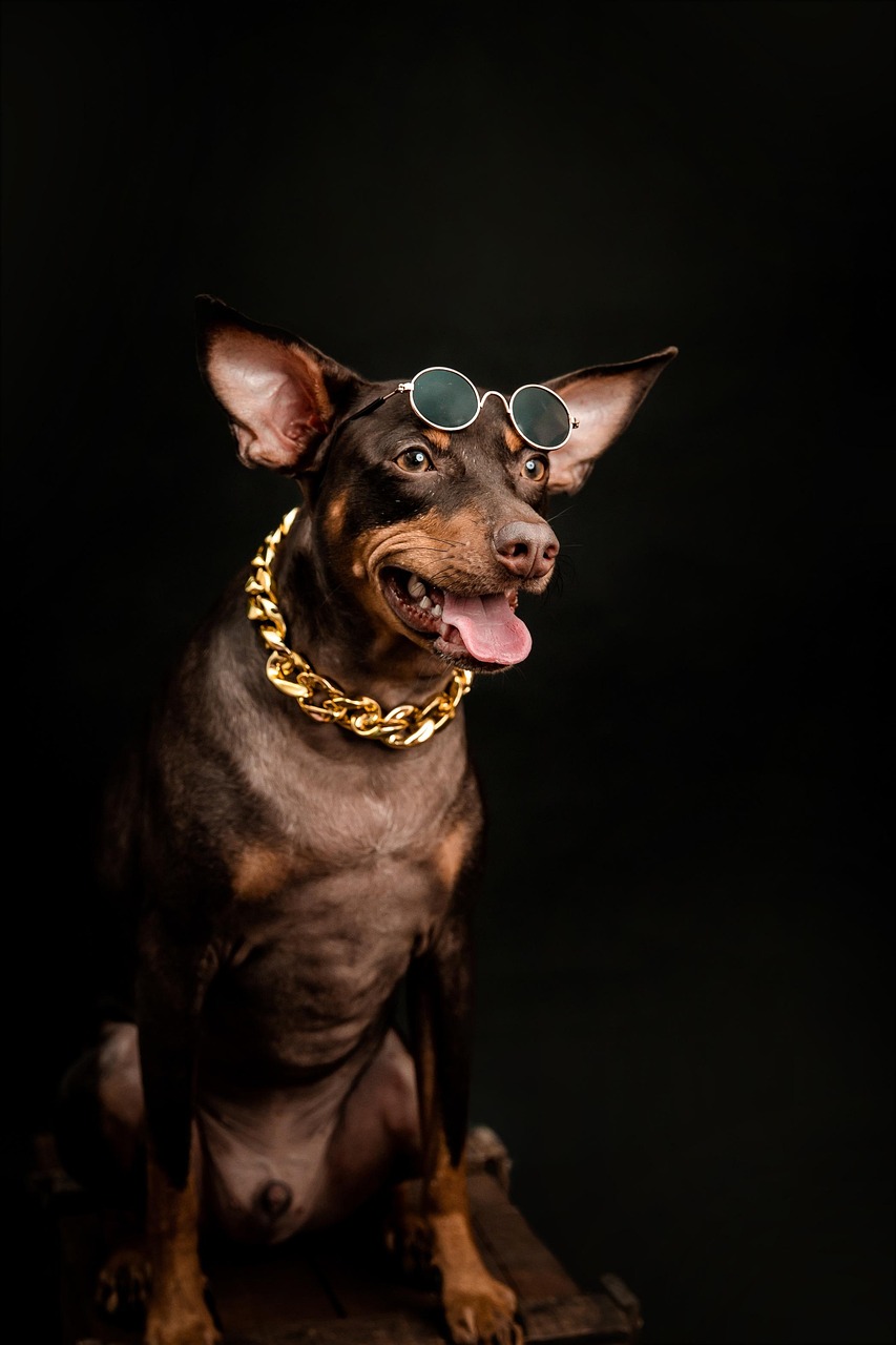 entdecken sie unsere stilvollen sonnenbrillen – moderner uv-schutz und trendige designs für damen und herren. perfekt für jeden anlass und optimaler komfort. jetzt sonnenbrillen online kaufen!